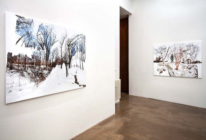 WINTER WOODS INSTALLATION