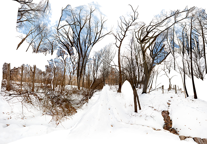 WINTER WOODS