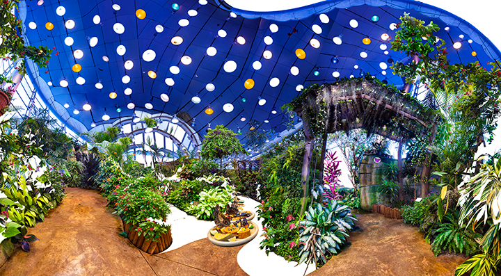 BUTTERFLY HOUSE